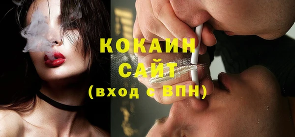 спайс Кулебаки