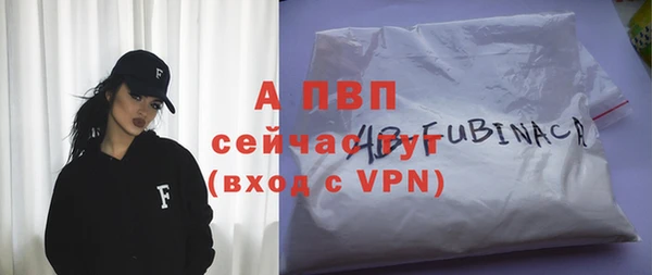 спайс Кулебаки