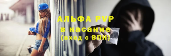 гидра Краснослободск
