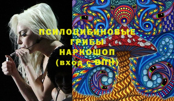 ПСИЛОЦИБИНОВЫЕ ГРИБЫ Кукмор