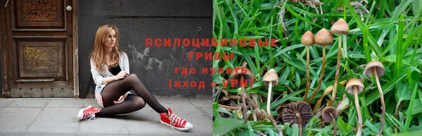 стаф Красноперекопск