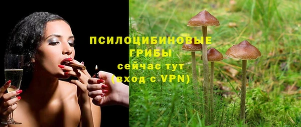 спайс Кулебаки