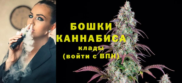 гидра Краснослободск